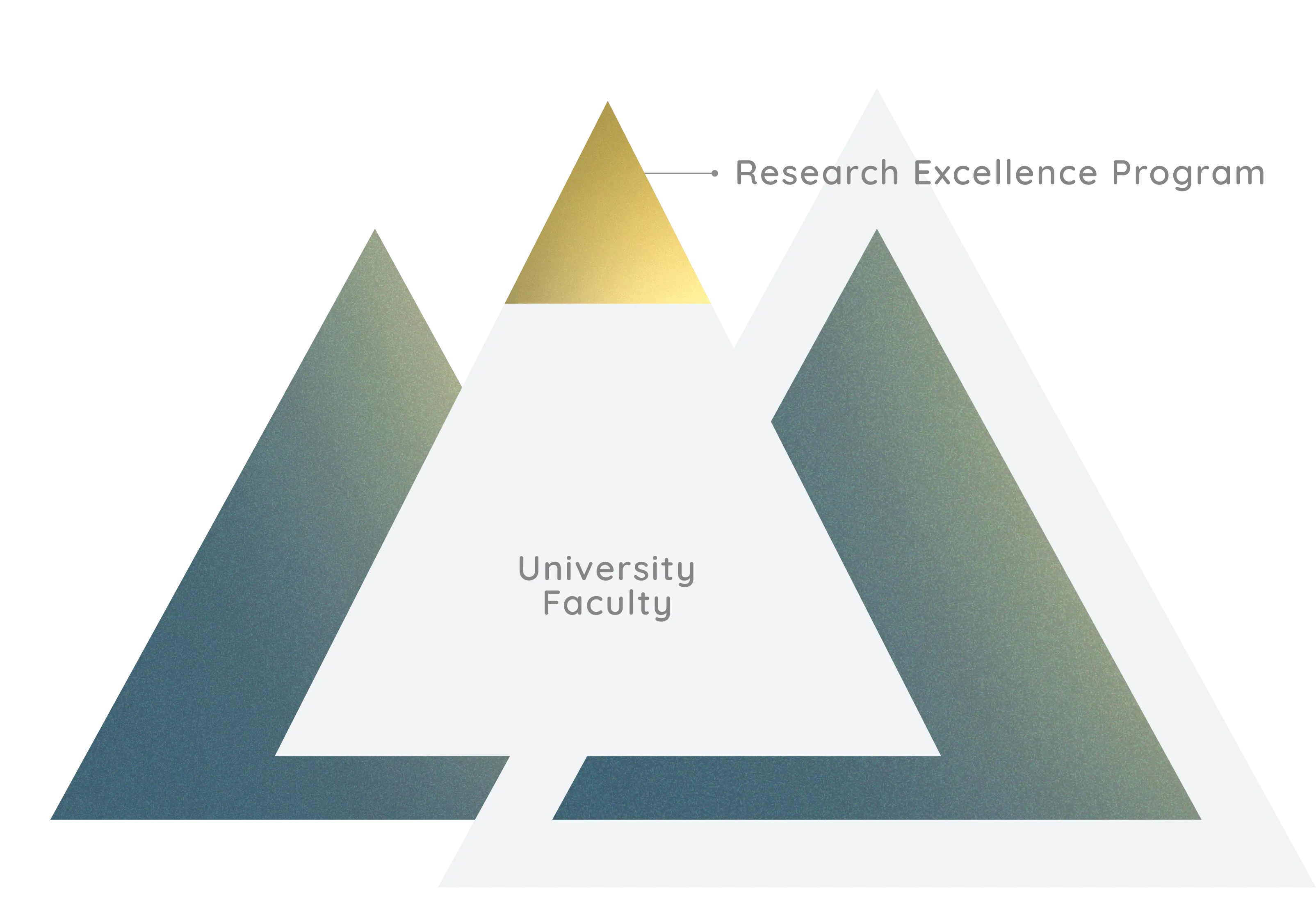 Case Study Illustration