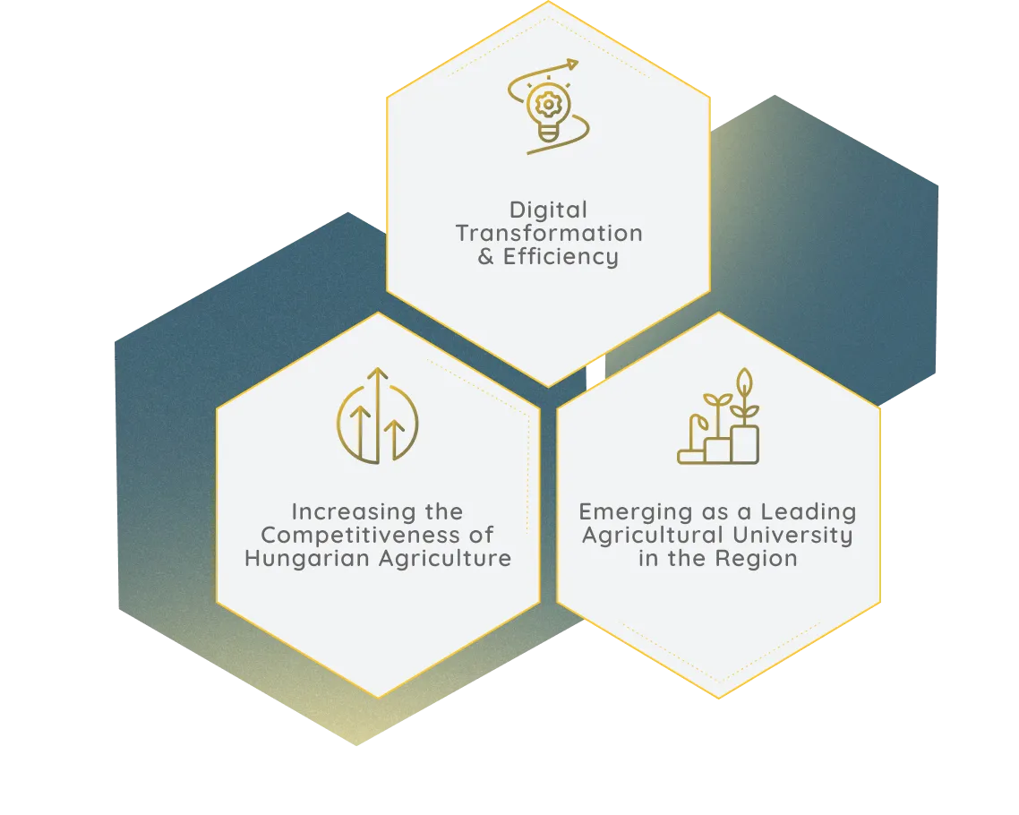 Case Study Illustration
